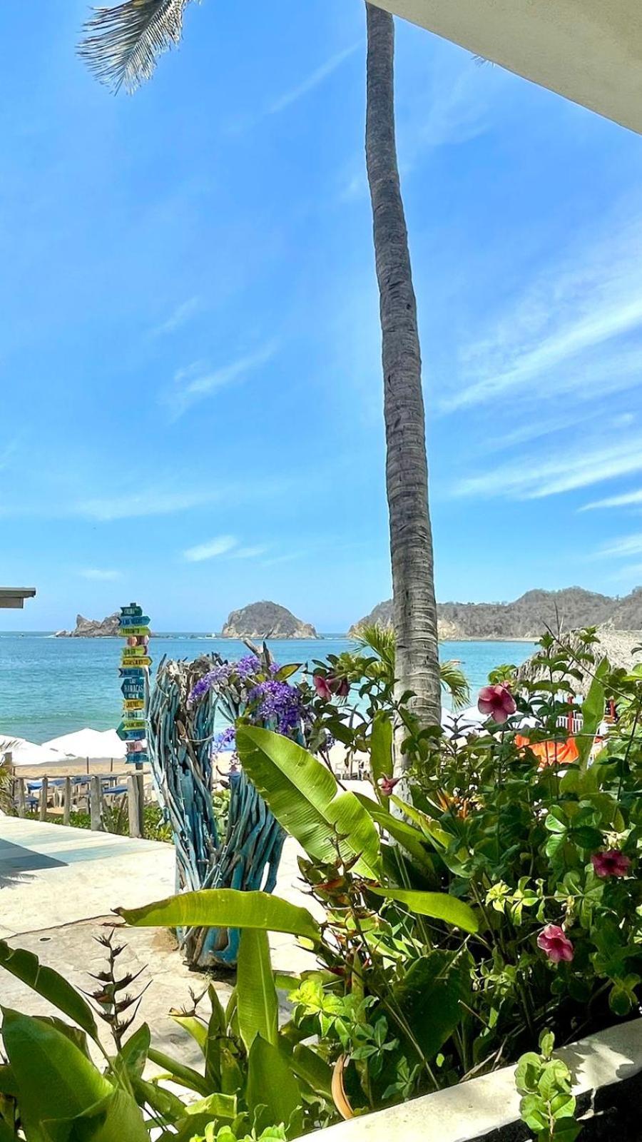 Bungalows Las Hamacas Сан-Патрисио-Мелак Экстерьер фото